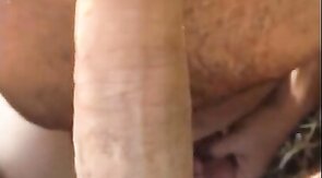 Blowjob at the beach