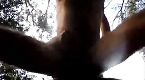 Daddy fucked in the Forest