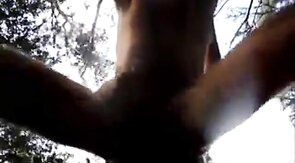 Daddy fucked in the Forest