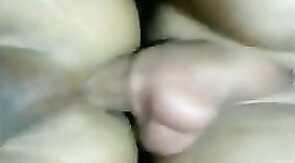 Pau para comecar a ser passivo