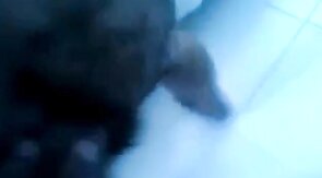 Chub old grandpa fuck