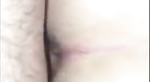 White Chub Breeds For The First Time