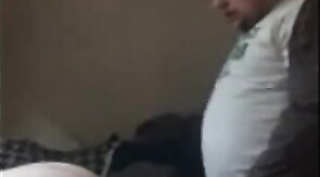 Craigslist Cub Breeds Bear Pussy