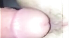 White Chub Breeds For The First Time