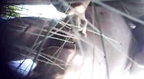 Hairy Outdoor Adventure with a Silver Fox