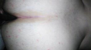 Fat Bear Takes Bareback BBC