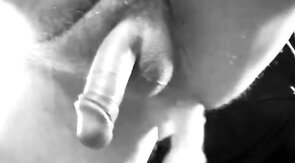 Twink's Toy Adventure