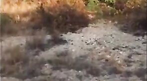 Sucking Dick on the Beach