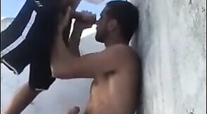 Sucking Dick Outdoors