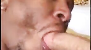 Black Guy Gives Head to a Hung White Boy