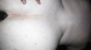 Fat Bear Takes Bareback BBC