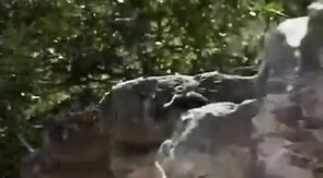 Big-Cock Military Blowjob