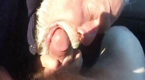 Furry BJ Fun