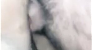 Bareback Fun in Naser City: No Waiting!