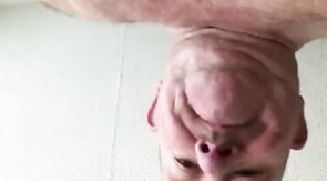 Fat Daddy Bear Barebacks Younger Bear Cub