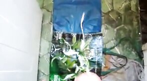 Big Latin Cock Cums Hard