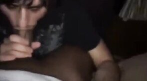 Fat Dick Sucking Session