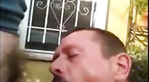 Osos amateurs: Mamada y tragar