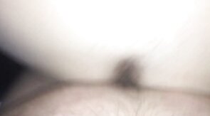 Bareback Breeding with a Bear and a Cub