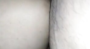 Fat Latin Bear Gets Fucked by His Secret Lover