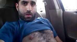 Osito peludo se divierte en el coche