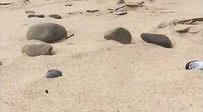 Nude Beach Boners: Big Cocks Outdoors Part 2