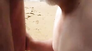 Sucking Dick on the Beach